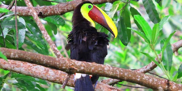 Costa Rica vacation tour packages