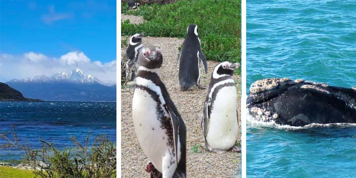 aRGENTINA PATAGONIA FAM TRIP FOR AGENTS